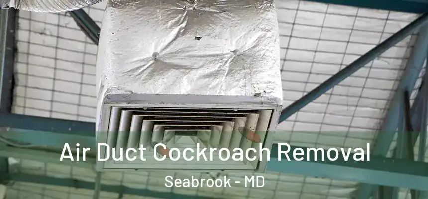  Air Duct Cockroach Removal Seabrook - MD