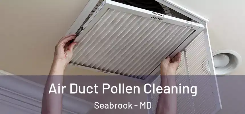  Air Duct Pollen Cleaning Seabrook - MD