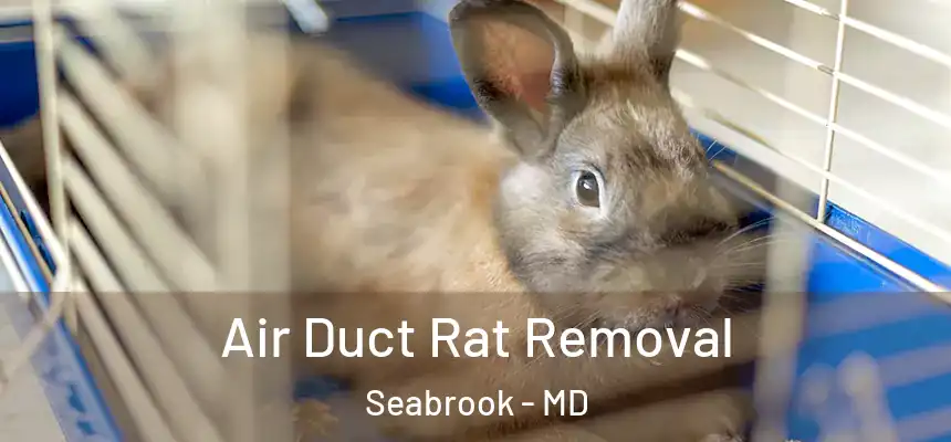  Air Duct Rat Removal Seabrook - MD