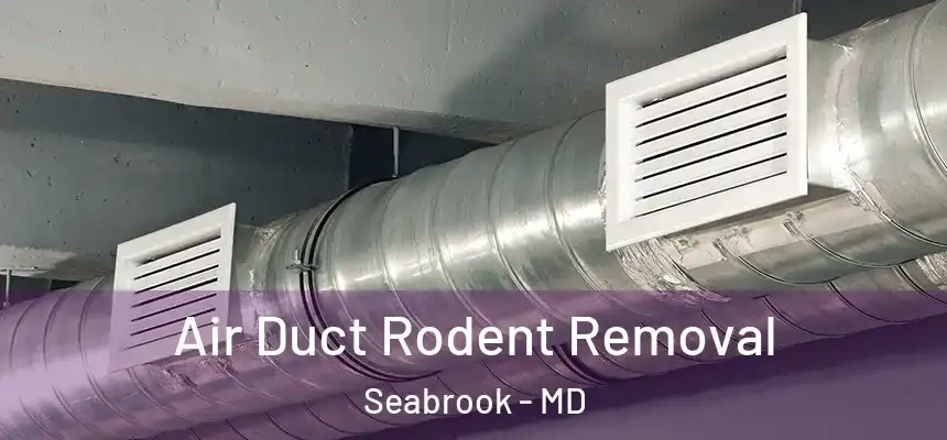  Air Duct Rodent Removal Seabrook - MD