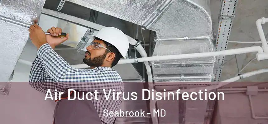  Air Duct Virus Disinfection Seabrook - MD