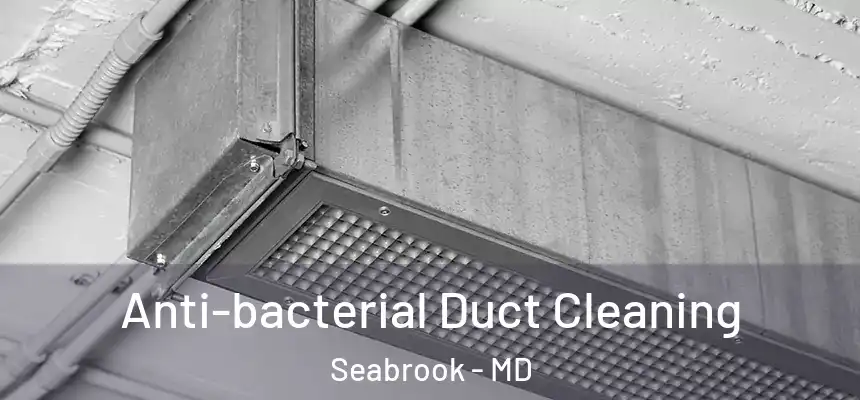 Anti-bacterial Duct Cleaning Seabrook - MD