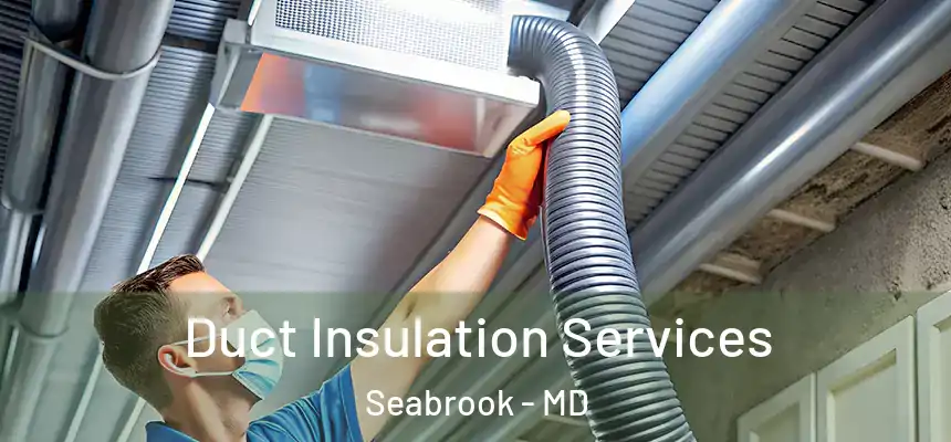  Duct Insulation Services Seabrook - MD