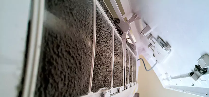 Preventive Air Duct Bacteria Removal in Seabrook