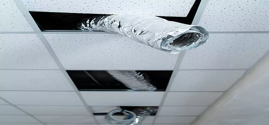 Our Air Duct Pet Hair Removal Services in Seabrook, MD