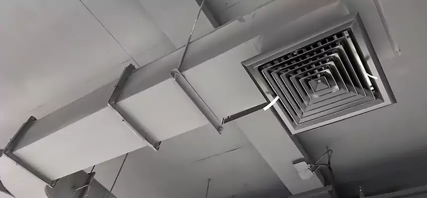 Restorative Allergy Relief Vent Cleaning – Coil, Blower & Housing Detail in Seabrook