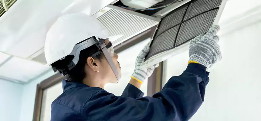 Our Mold & Mildew Removal from Air Ducts Services in Seabrook, MD