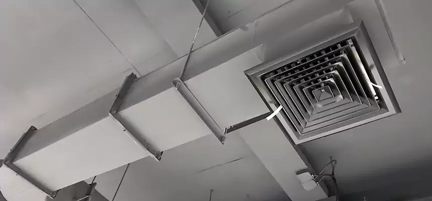 Our Pest Removal From Ducts Services in Seabrook, MD