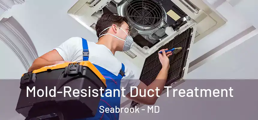  Mold-Resistant Duct Treatment Seabrook - MD