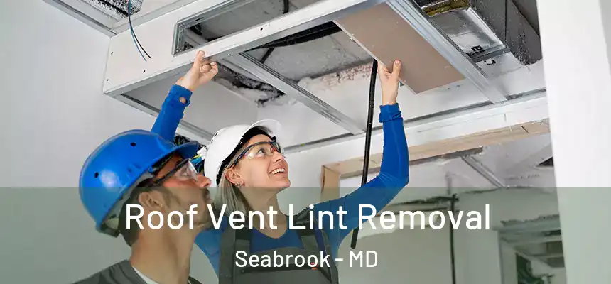  Roof Vent Lint Removal Seabrook - MD