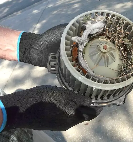 About Air Duct Rat Removal in Seabrook, MD