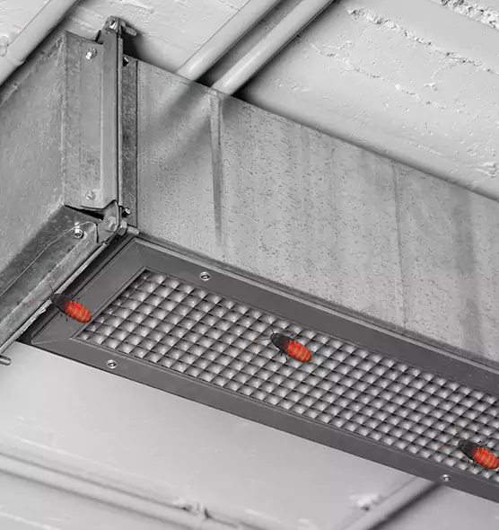 Affordable Insect Removal from Air Ducts in Seabrook, MD