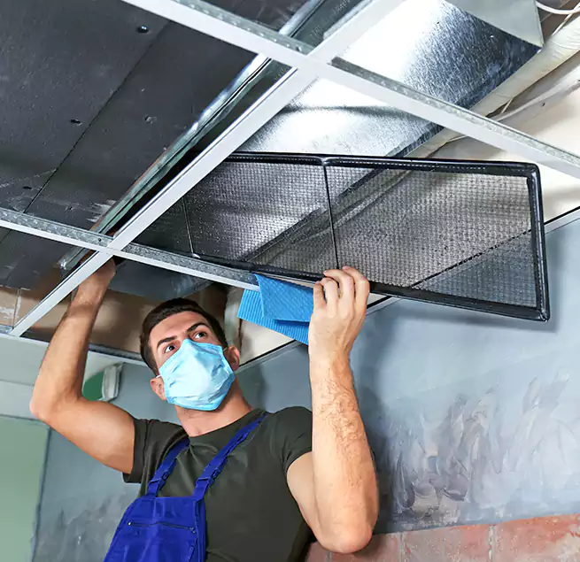 Why Homeowners Businesses Trust Us in Seabrook, MD