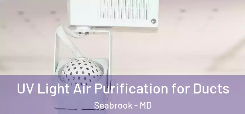 UV Light Air Purification for Ducts Seabrook - MD
