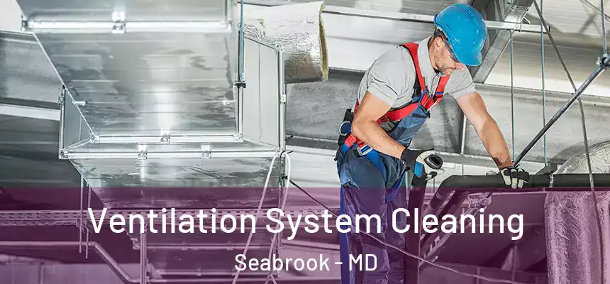  Ventilation System Cleaning Seabrook - MD